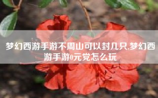 梦幻西游手游不周山可以封几只,梦幻西游手游0元党怎么玩