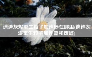 遗迹灰烬重生粒子加速器在哪里(遗迹灰烬重生粒子加速器和废墟)