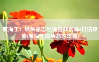 航海王：燃烧意志绝境挑战试炼2打法攻略(航海王燃烧意志攻略)