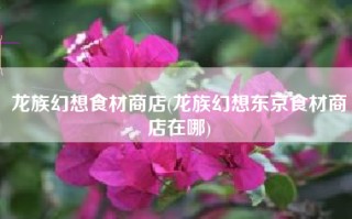 龙族幻想食材商店(龙族幻想东京食材商店在哪)
