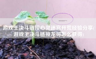 游戏王决斗链接心灵迷宫开荒经验分享(游戏王决斗链接龙可怎么获得)