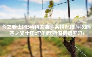 苍之骑士团2马利欧斯阵容搭配推荐攻略(苍之骑士团2马利欧斯值得培养吗)