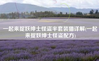 一起来捉妖绅士怪盗半套装猫详解(一起来捉妖绅士怪盗配方)