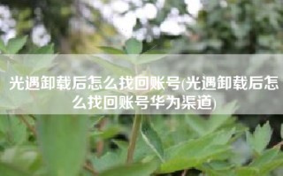 光遇卸载后怎么找回账号(光遇卸载后怎么找回账号华为渠道)