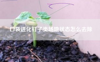 口袋进化钉子类场地状态怎么去除