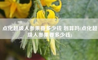 点化超级人参果要多少钱 划算吗(点化超级人参果要多少钱)