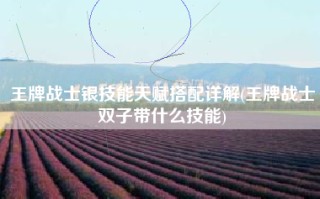 王牌战士银技能天赋搭配详解(王牌战士双子带什么技能)