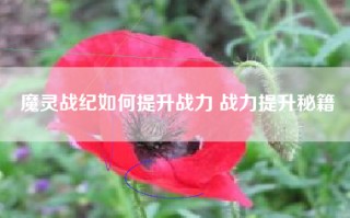 魔灵战纪如何提升战力 战力提升秘籍