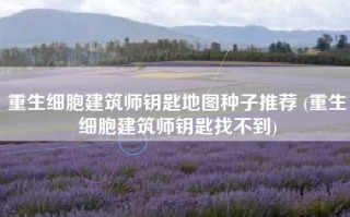 重生细胞建筑师钥匙地图种子推荐 (重生细胞建筑师钥匙找不到)