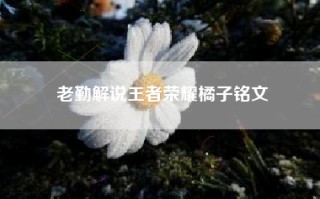 老勤解说王者荣耀橘子铭文