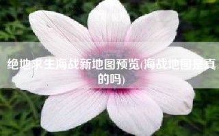 绝地求生海战新地图预览(海战地图是真的吗)