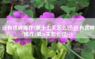 还有这种操作2第十七关怎么过(还有这种操作2第36关怎么过)_1