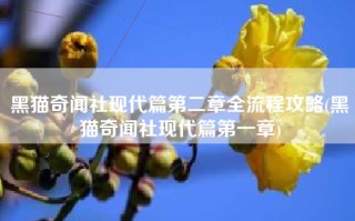 黑猫奇闻社现代篇第二章全流程攻略(黑猫奇闻社现代篇第一章)