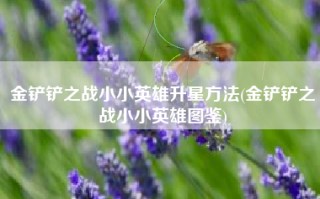 金铲铲之战小小英雄升星方法(金铲铲之战小小英雄图鉴)