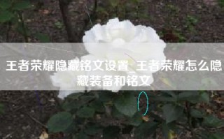 王者荣耀隐藏铭文设置_王者荣耀怎么隐藏装备和铭文