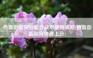 热血街篮突分配合战术使用攻略(热血街篮如何快速上分)