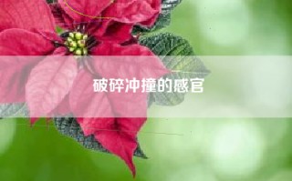 破碎冲撞的感官
