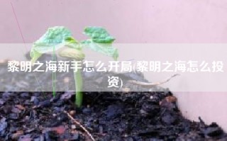 黎明之海新手怎么开局(黎明之海怎么投资)