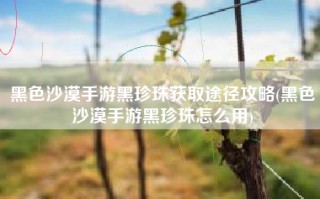 黑色沙漠手游黑珍珠获取途径攻略(黑色沙漠手游黑珍珠怎么用)