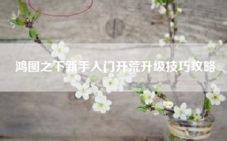 鸿图之下新手入门开荒升级技巧攻略