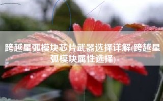 跨越星弧模块芯片武器选择详解(跨越星弧模块属性选择)