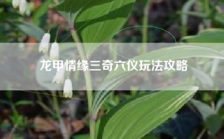 龙甲情缘三奇六仪玩法攻略