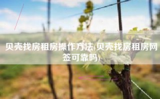贝壳找房租房操作方法(贝壳找房租房网签可靠吗)