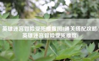 英雄迷宫冒险受死难度图8通关搭配攻略(英雄迷宫冒险受死难度)
