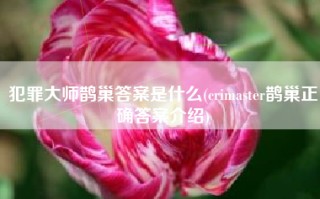 犯罪大师鹊巢答案是什么(crimaster鹊巢正确答案介绍)
