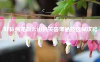 轩辕剑龙舞云山机关兽饰品技选择攻略