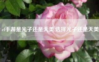 cf手游是光子还是天美,选择光子还是天美