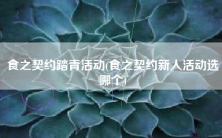 食之契约踏青活动(食之契约新人活动选哪个)