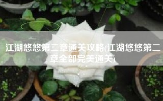 江湖悠悠第二章通关攻略(江湖悠悠第二章全部完美通关)