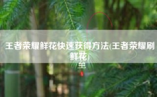 王者荣耀鲜花快速获得方法(王者荣耀刷鲜花)
