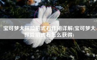 宝可梦大探险招式石作用详解(宝可梦大探险招式石怎么获得)