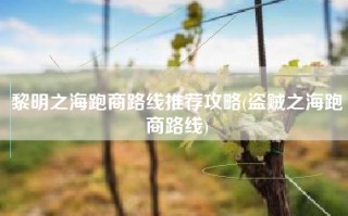 黎明之海跑商路线推荐攻略(盗贼之海跑商路线)