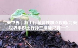 完美世界手游土行者属性加点攻略(完美世界手游土行孙三技能只有一个)