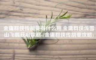 金庸群侠传胡斐有什么用,金庸群侠传雪山飞狐获取攻略-(金庸群侠传胡斐攻略)