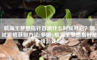 航海王梦想指针首测什么时候开启？测试资格获取方法[多图](航海王梦想指针是卡牌游戏吗)