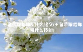 王者荣耀貂蝉买什么铭文(王者荣耀貂蝉带什么技能)