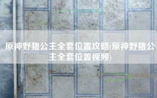 原神野猪公主全套位置攻略(原神野猪公主全套位置视频)