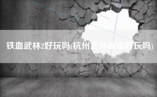 铁血武林2好玩吗(杭州武林夜市好玩吗)