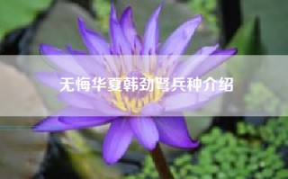 无悔华夏韩劲弩兵种介绍