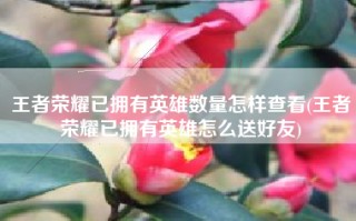 王者荣耀已拥有英雄数量怎样查看(王者荣耀已拥有英雄怎么送好友)
