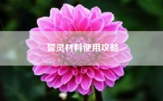 誓灵材料使用攻略