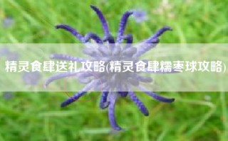 精灵食肆送礼攻略(精灵食肆糯枣球攻略)