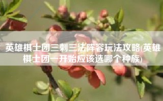 英雄棋士团三刺三法阵容玩法攻略(英雄棋士团一开始应该选哪个种族)