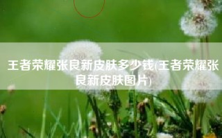 王者荣耀张良新皮肤多少钱(王者荣耀张良新皮肤图片)