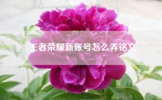 王者荣耀新账号怎么弄铭文