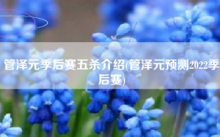 管泽元季后赛五杀介绍(管泽元预测2022季后赛)